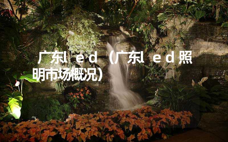 广东led（广东led照明市场概况）