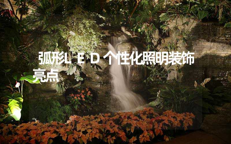 弧形LED个性化照明装饰亮点
