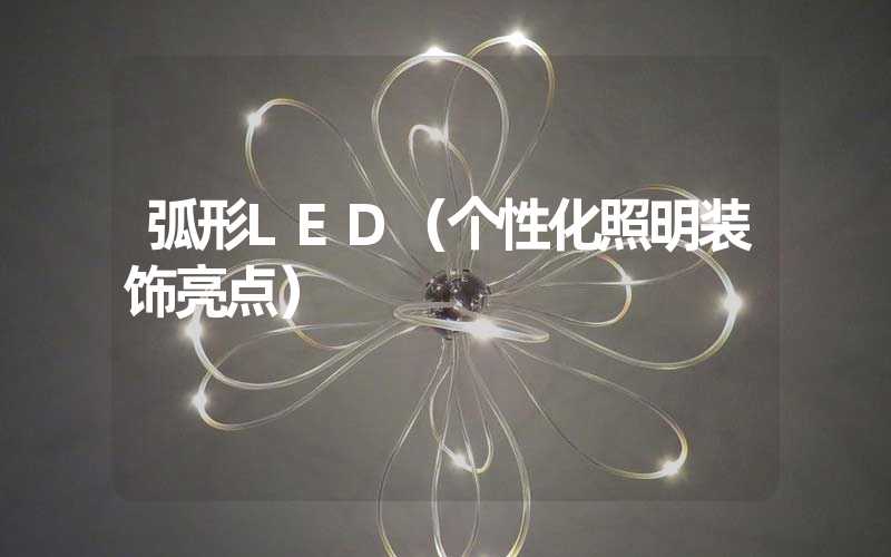 弧形LED（个性化照明装饰亮点）