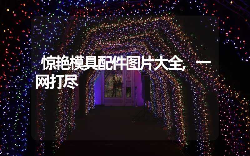 惊艳模具配件图片大全,一网打尽