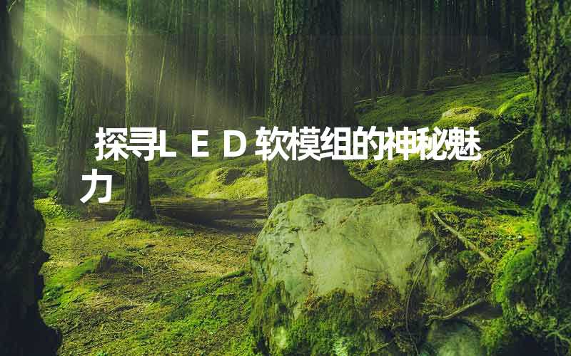 探寻LED软模组的神秘魅力