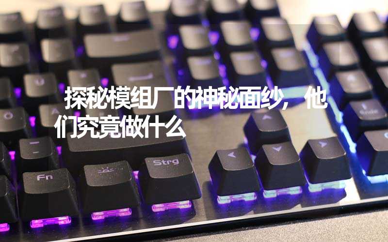 探秘模组厂的神秘面纱,他们究竟做什么