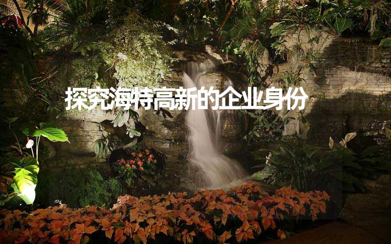 探究海特高新的企业身份