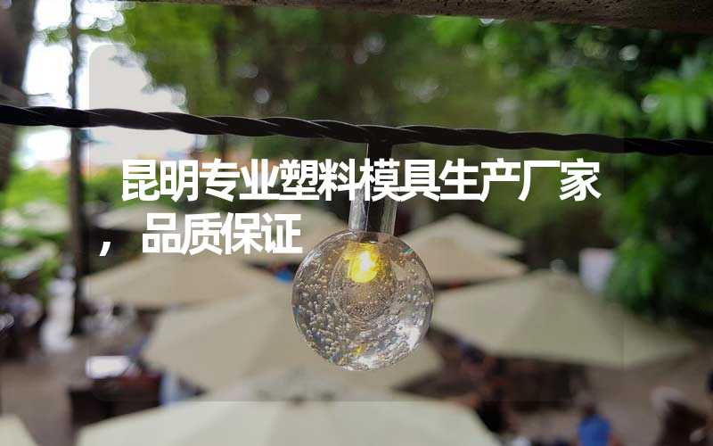 昆明专业塑料模具生产厂家,品质保证