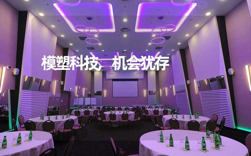 模塑科技,机会犹存