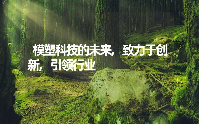 模塑科技的未来,致力于创新,引领行业