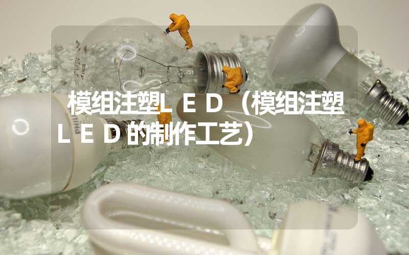 模组注塑LED（模组注塑LED的制作工艺）
