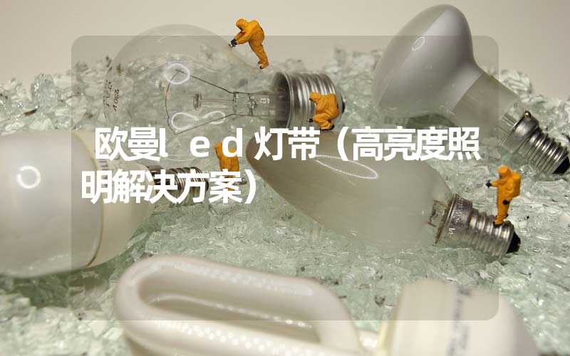 欧曼led灯带（高亮度照明解决方案）