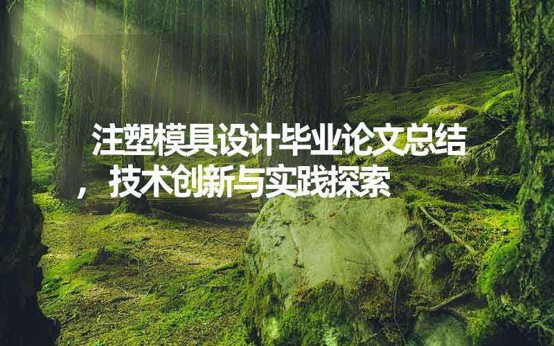 注塑模具设计毕业论文总结,技术创新与实践探索