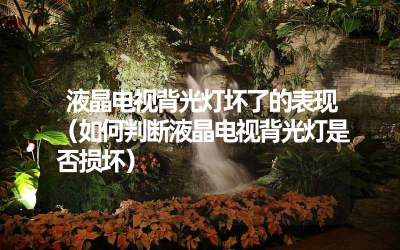 液晶电视背光灯坏了的表现（如何判断液晶电视背光灯是否损坏）