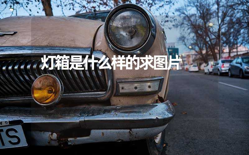 灯箱是什么样的求图片