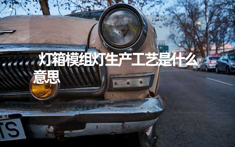 灯箱模组灯生产工艺是什么意思