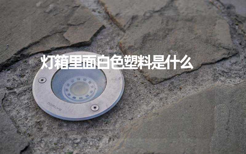 灯箱里面白色塑料是什么