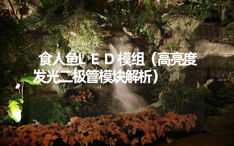 食人鱼LED模组（高亮度发光二极管模块解析）